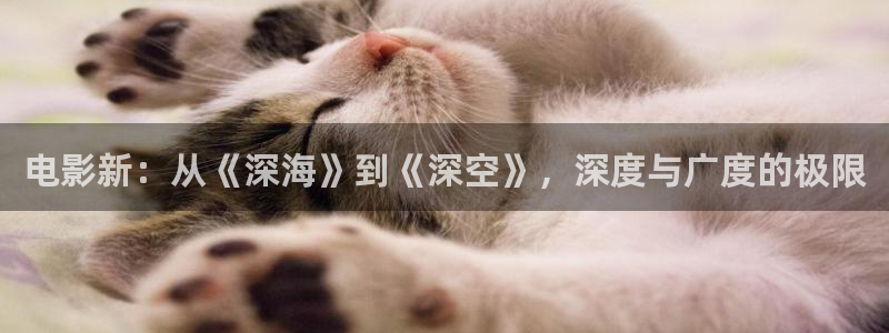 www.欧美影院：电影新：从《深海》到《深空》，深度与广度的极限