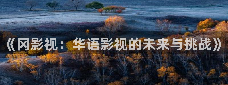 欧美影院午夜剧场：《冈影视：华语影视的未来与挑战》