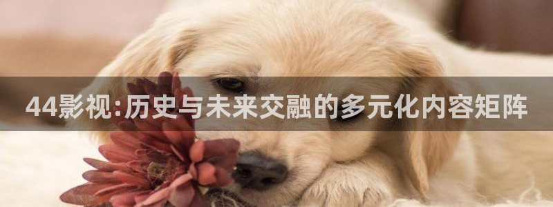 欧美影院必看电影推荐：44影视:历史与未来交融的多元化内容矩阵