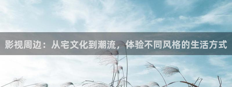 欧美影院.：影视周边：从宅文化到潮流，体验不同风格的生活方式
