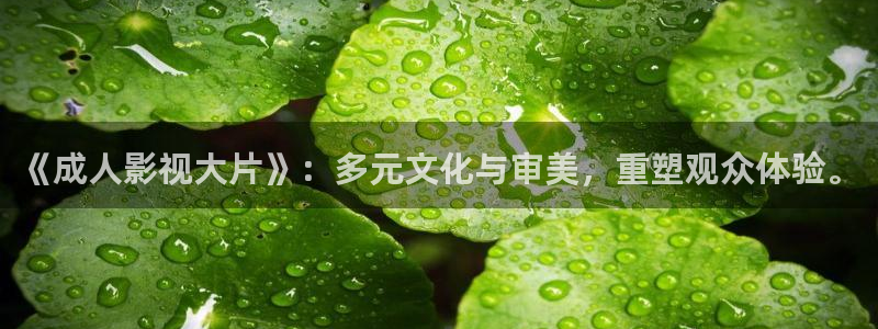 深夜欧美影院：《成人影视大片》：多元文化与审美，重塑观众体验。