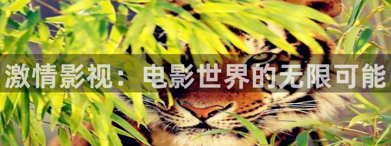 米奇欧美影院：激情影视：电影世界的无限可能