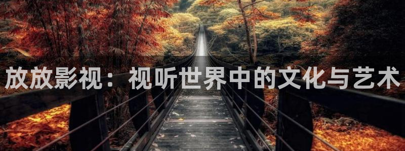 矿桥欧美影院在线观看：放放影视：视听世界中的文化与艺术